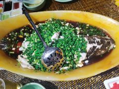 -北平盛世·新京菜·北京烤鸭(劲松·双井店)