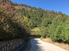 -北京西山国家森林公园