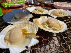 特大扇贝.-南浦洞·炭烤活海鲜·烤肉·延边特色(学府街店)