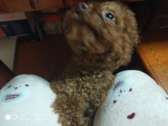 -全家便利店(中原二店)