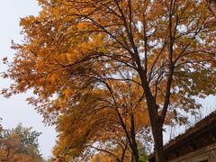 -元大都城垣遗址公园