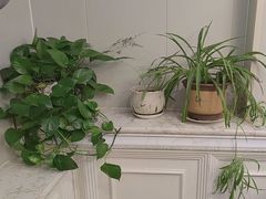 -君霖私家菜(春柳店)