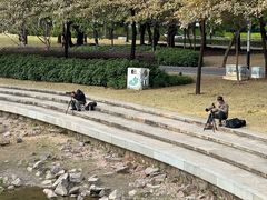 -文华公园(禅城区)