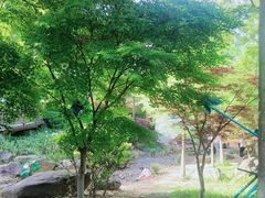 -茅山东方盐湖城景区