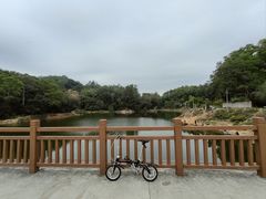 -火炉山森林公园