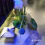 美味的烤鸭