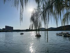 -济南国际园博园