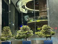 -深圳温德姆至尊酒店
