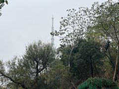 -龟山风景区-龟山电视塔
