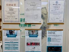 -美联众合动物医院·24h京西诊疗中心