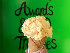 -Dooley's Premium Ice Cream