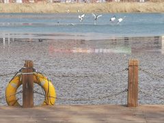 -淇河国家湿地公园