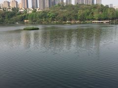-重庆彩云湖湿地公园