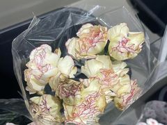 -鹿岛生活(熙地港店)