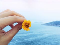 -广东惠东海龟国家级自然保护区