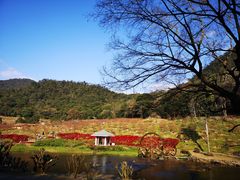 -广州市石门国家森林公园