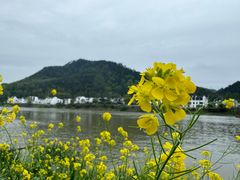 -渔梁坝