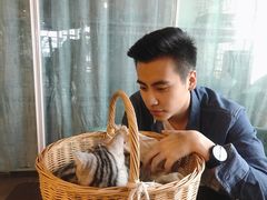 -共舞时光猫咖·狗咖(新街口店)