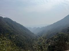 -东天目山风景区