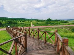 -御道口草原森林风景区