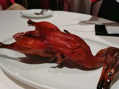 首创昆明BB乳鸭-东富酒家(龙湖西溪天街店)