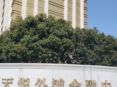 -湖锦酒楼·旗舰店(三阳总店)