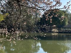 -宝岩生态观光园