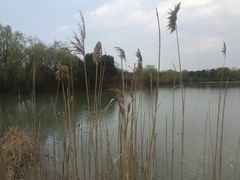 -长兴太湖图影湿地文化园