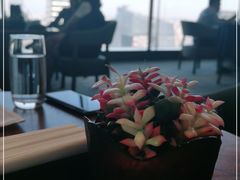 -北京柏悦酒店·锦庭餐厅Dining Room