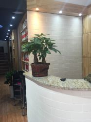 -明洞造型精品烫染