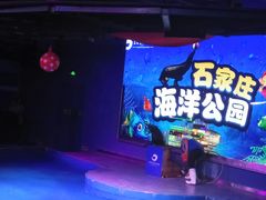 -石家庄海洋公园