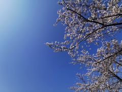 -龙美术馆(西岸馆)