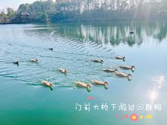 -上海怡沁园度假酒店