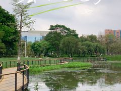 -映月湖公园