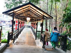 -侨美·唐荔园·40年地道粤菜