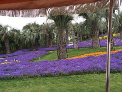 -南通洲际绿博园