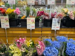 -鹿岛生活(熙地港店)