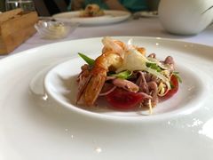 -蝶舍·MAISON PAPILLON