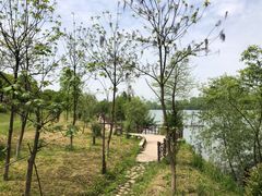 -东梓关景区村庄