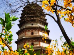 -天宁寺