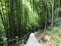 -藏龙百瀑风景区