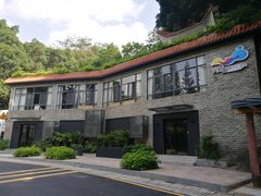 -银湖山郊野公园-相思林