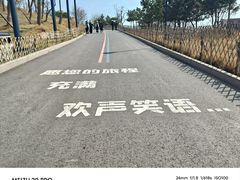 -小麦岛公园