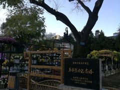 -文瀛公园