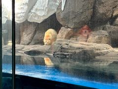 -海合安武汉极地海洋公园