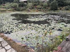 -桃花岭景区