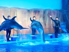 -华夏文旅海洋公园