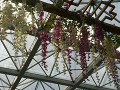 -天源吉布世温泉水乐园