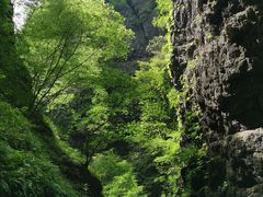 -野三坡百里峡景区