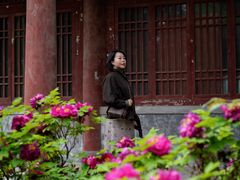 -函谷关历史文化旅游区